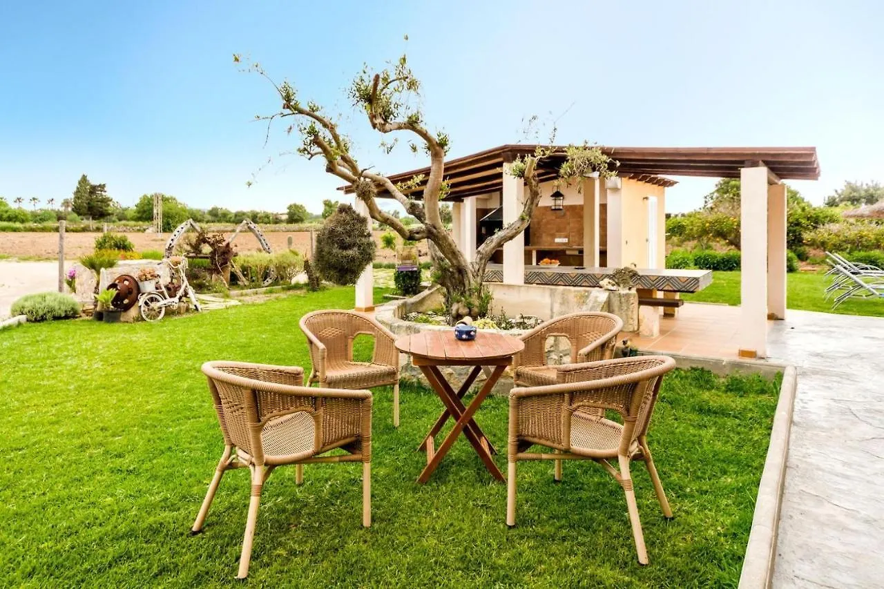 Villa Damian 6 Alcudia  Spanien